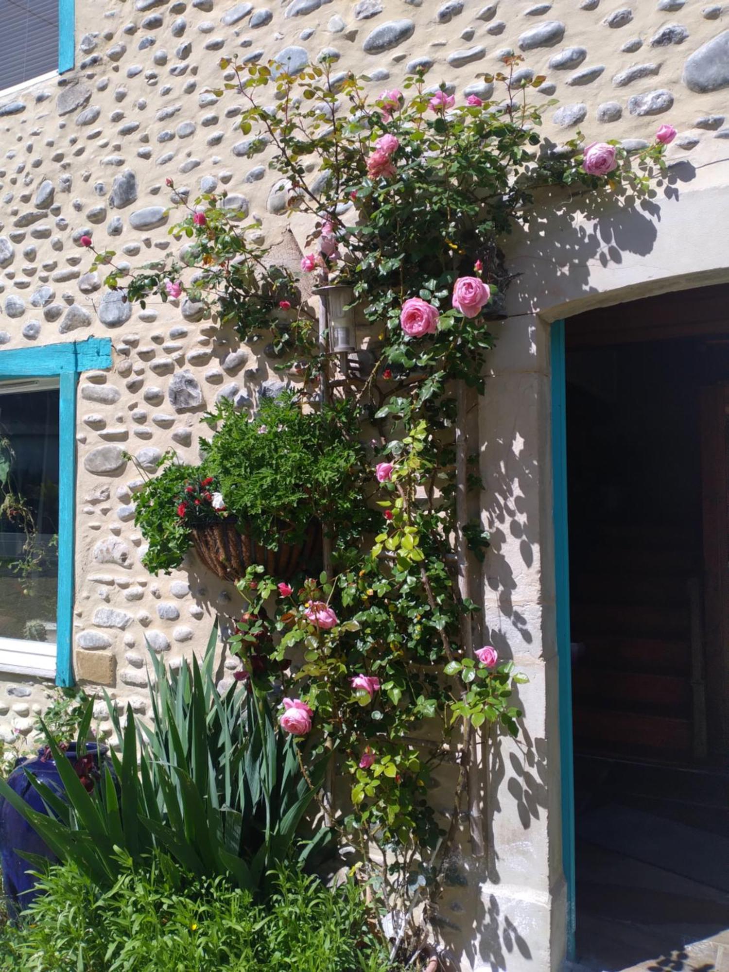 Maison Mignaquy Villa Charritte-de-Bas Exterior foto